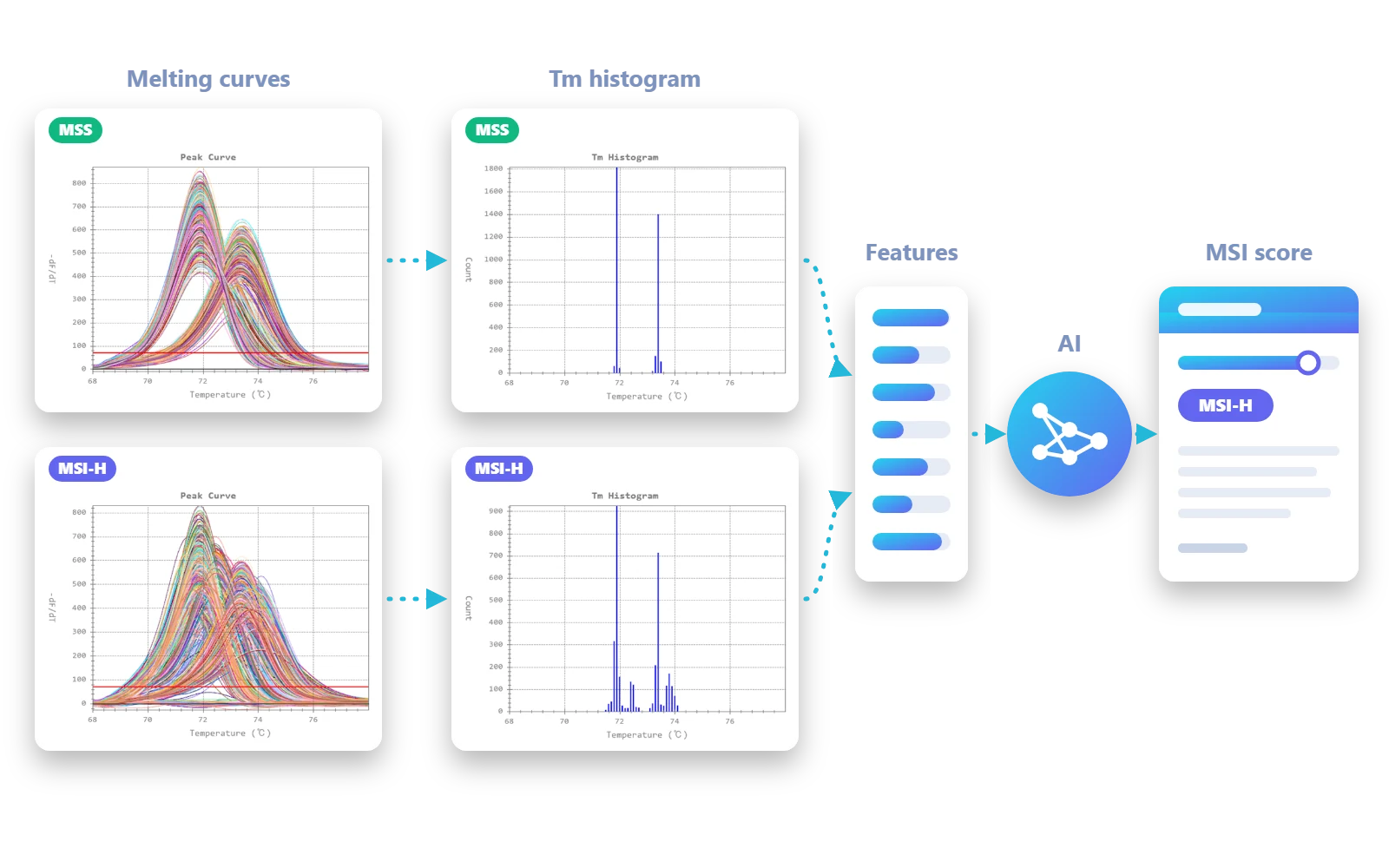 Canopus pipeline: real melting peak curves and Tm histograms of an MSS sample and an MSI-H sample, features taken from the Tm histogram, an AI model, and a report with the MSI score