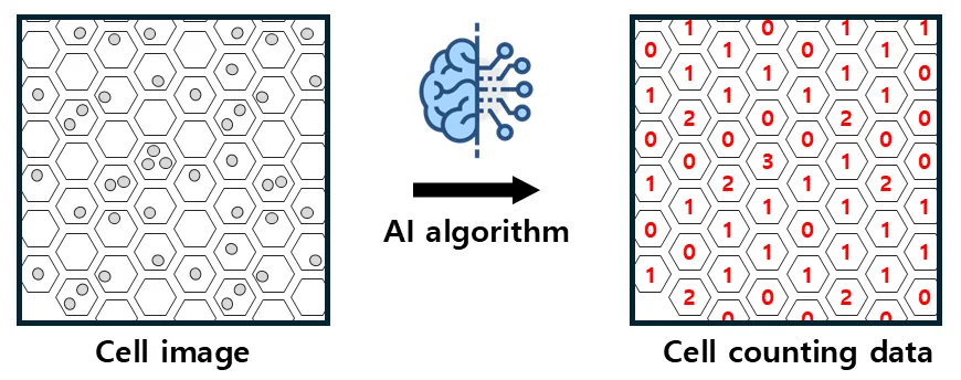 A cell image of hexagonal wells passes through an AI algorithm and becomes a map of per-well cell counts