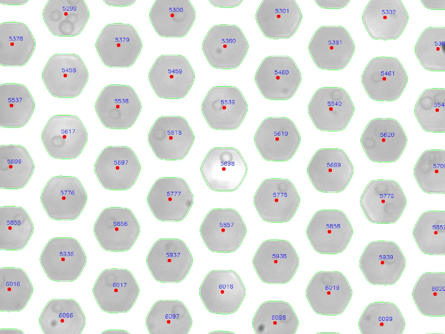 Microwells outlined in green, each marked at its center and labeled with its well number
