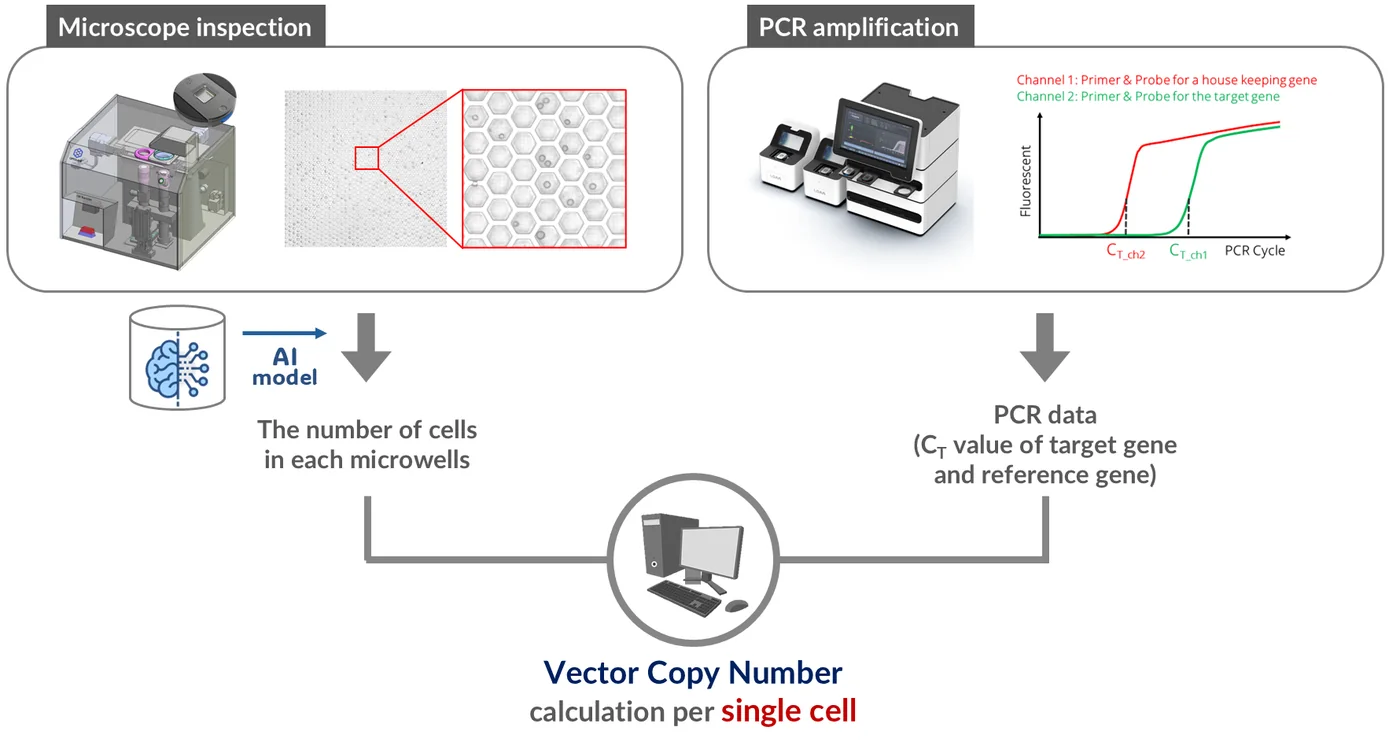Overview of the CGT work process: a microscope inspection system images the chip and an AI model counts the cells in each microwell; a real-time PCR instrument measures the target and reference genes of the same wells; a computer combines the two into gene copies per single cell